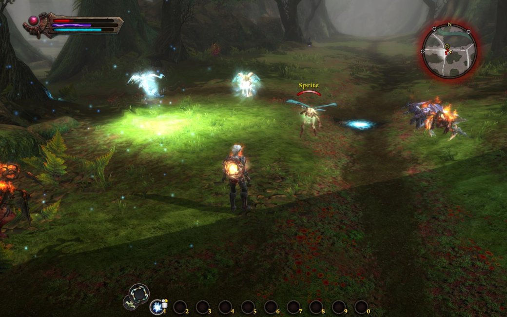 Kingdoms of Amalur: Reckoning. Прохождение: гид по далеким землям - Изображение 28 Kingdoms of Amalur: Reckoning. Прохождение: гид по далеким землям - Изображение 28