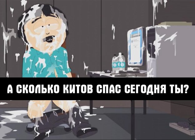 Портал для взрослых оправдывает просмотр порно спасением китов - Изображение 3 Портал для взрослых оправдывает просмотр порно спасением китов - Изображение 3